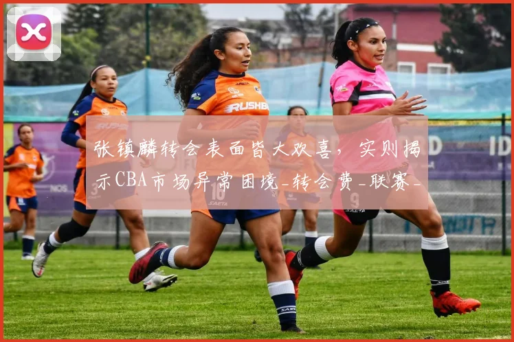 张镇麟转会表面皆大欢喜,实则揭示CBA市场异常困境_转会费_联赛_上海队