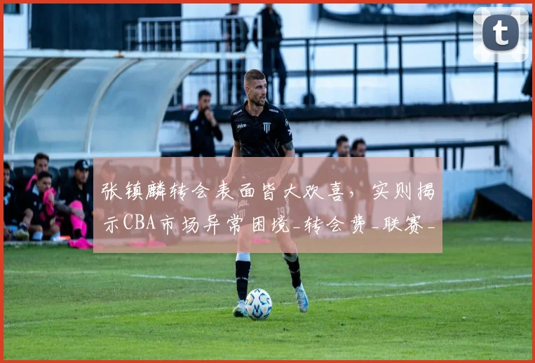 张镇麟转会表面皆大欢喜，实则揭示CBA市场异常困境_转会费_联赛_上海队